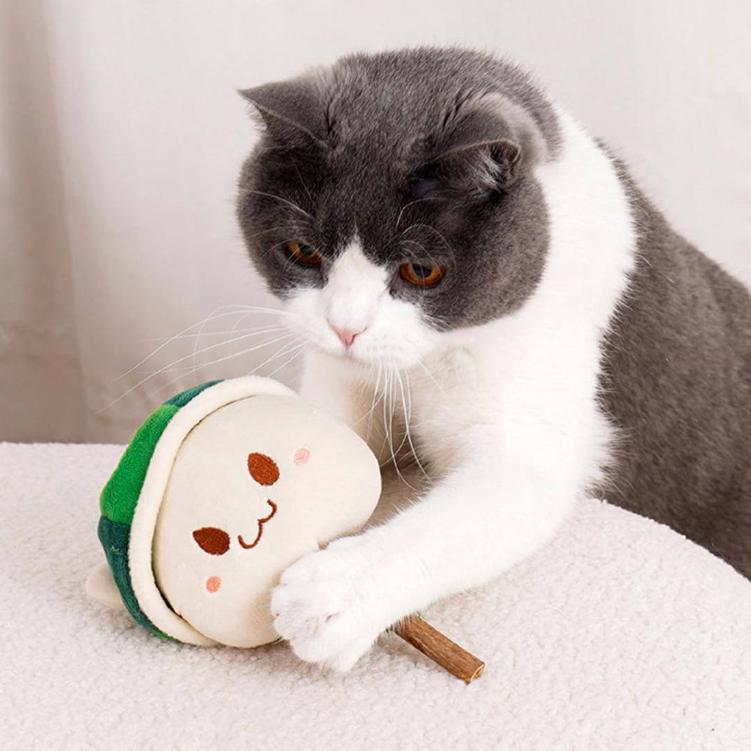 Watermelon Kitty Silvervine Cat Chew Toy