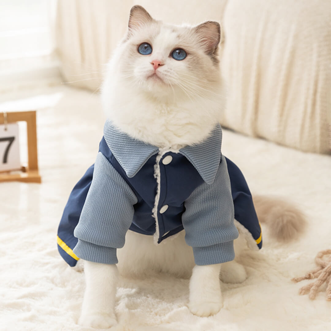 Winston Cat Dress