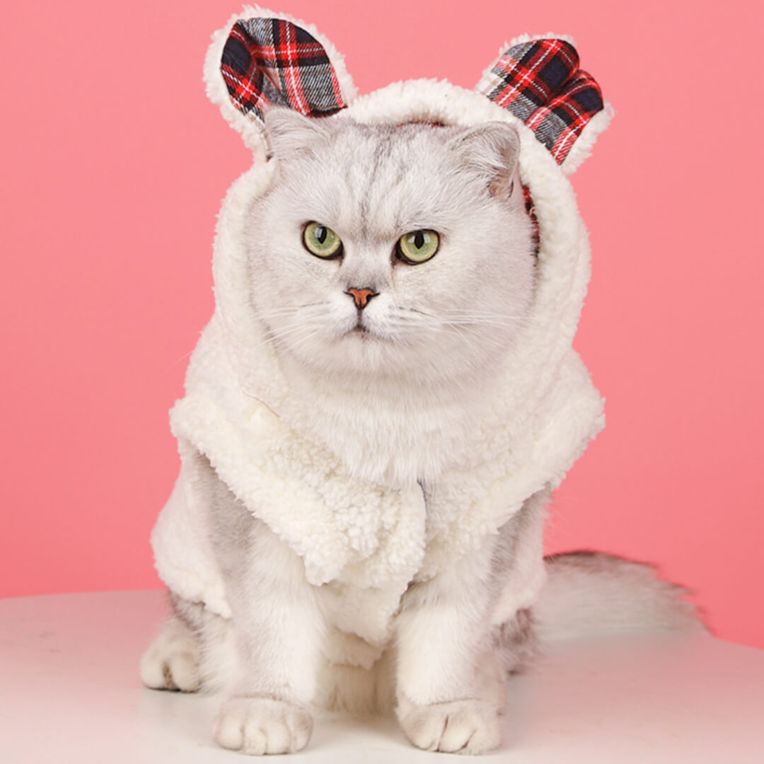 Winston Cat Hoodie