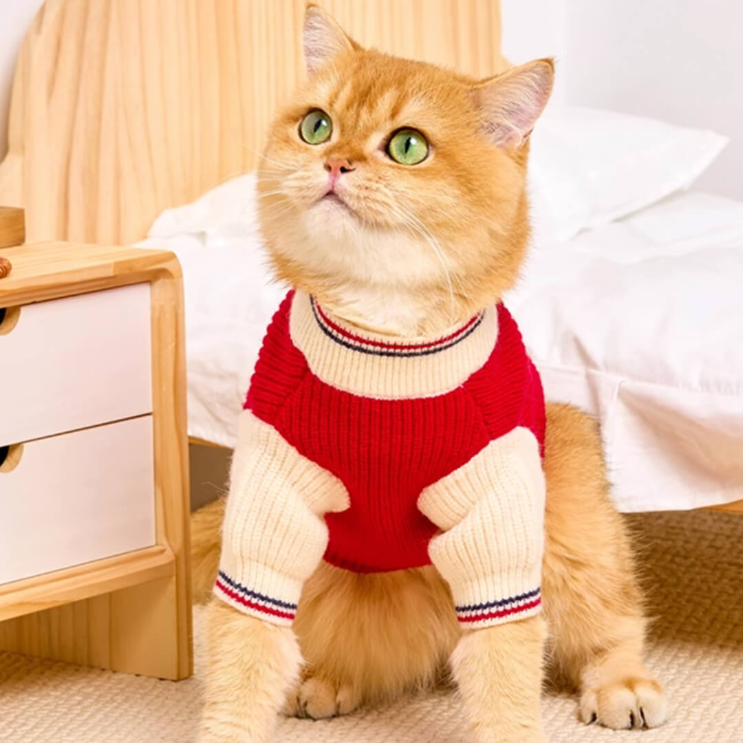 Winston Cat Sweater