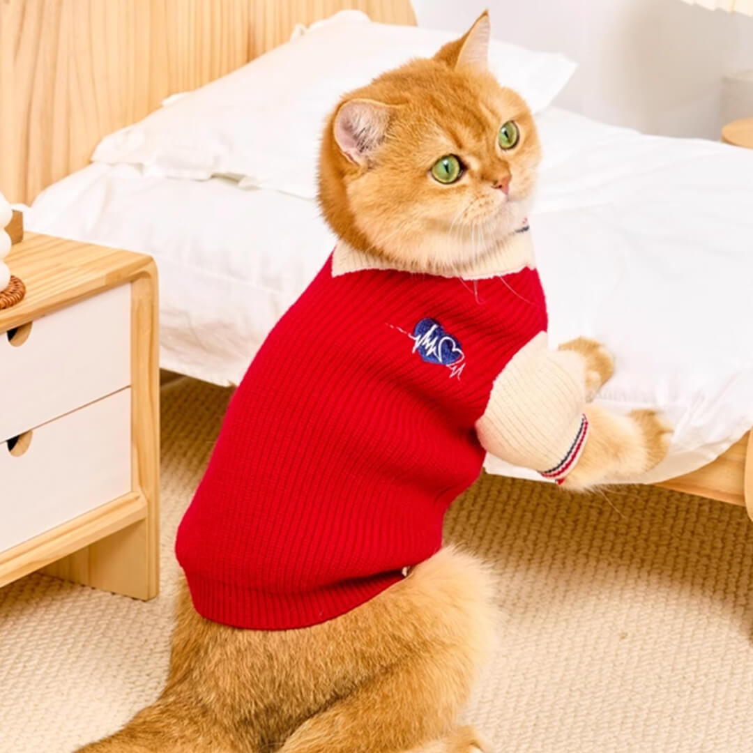 Winston Cat Sweater