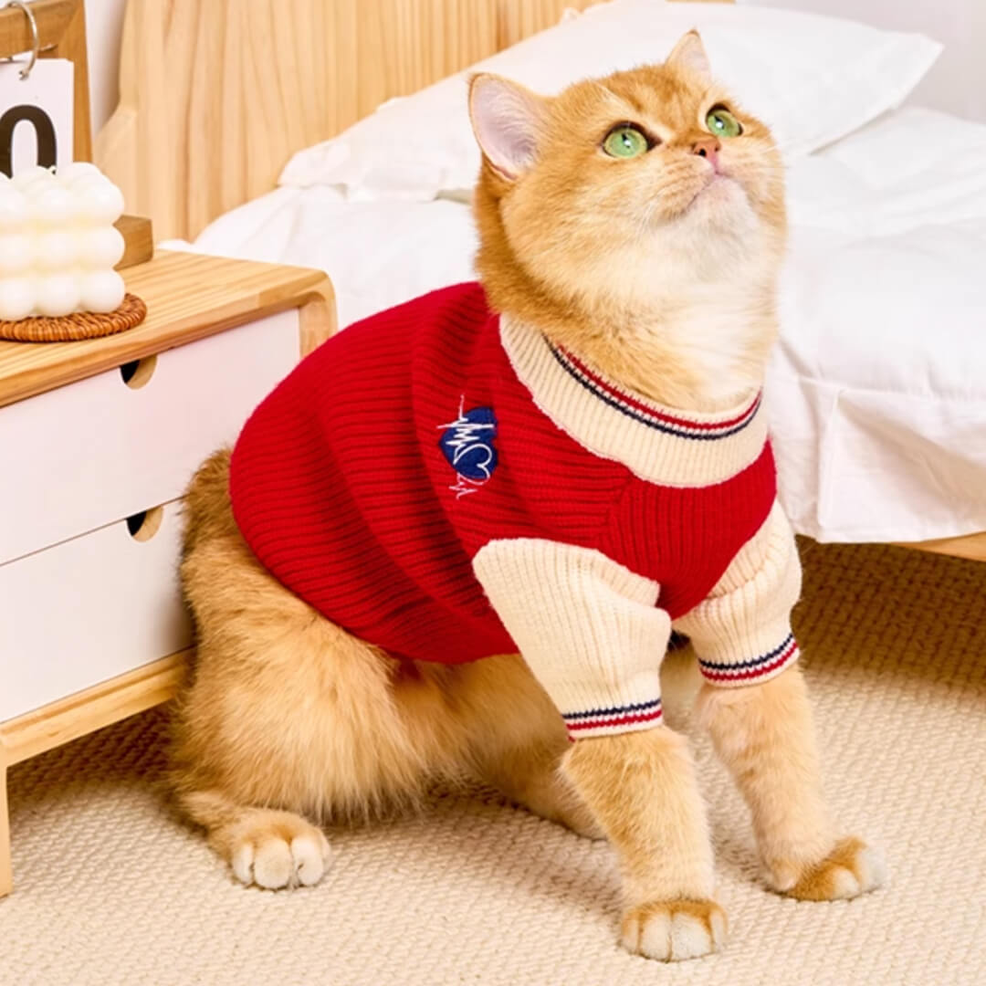 Winston Cat Sweater