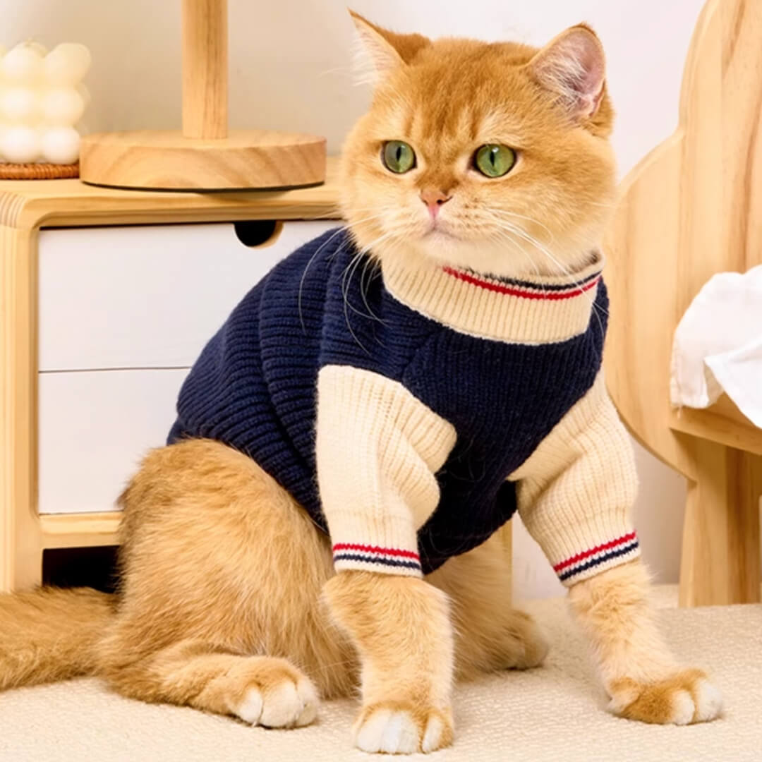 Winston Cat Sweater