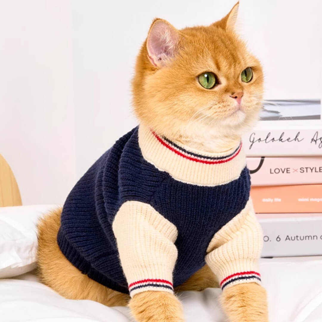 Winston Cat Sweater