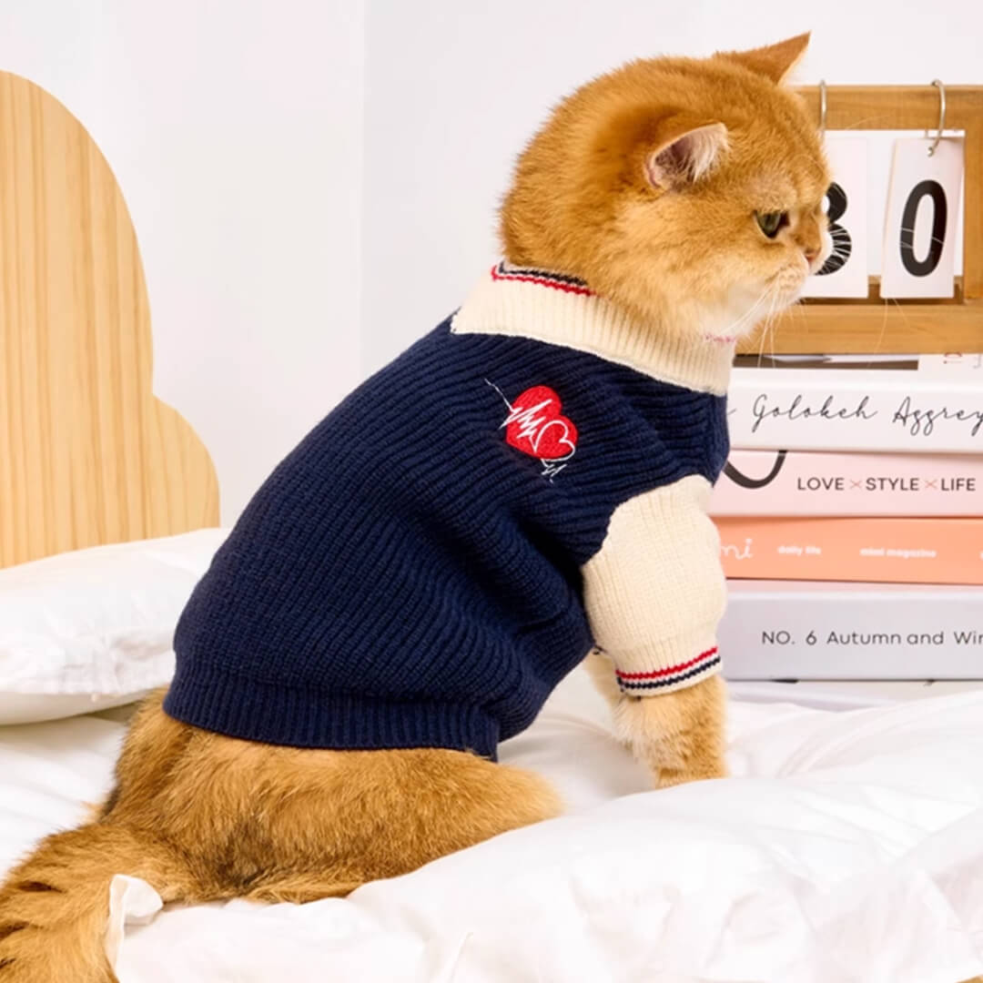 Winston Cat Sweater