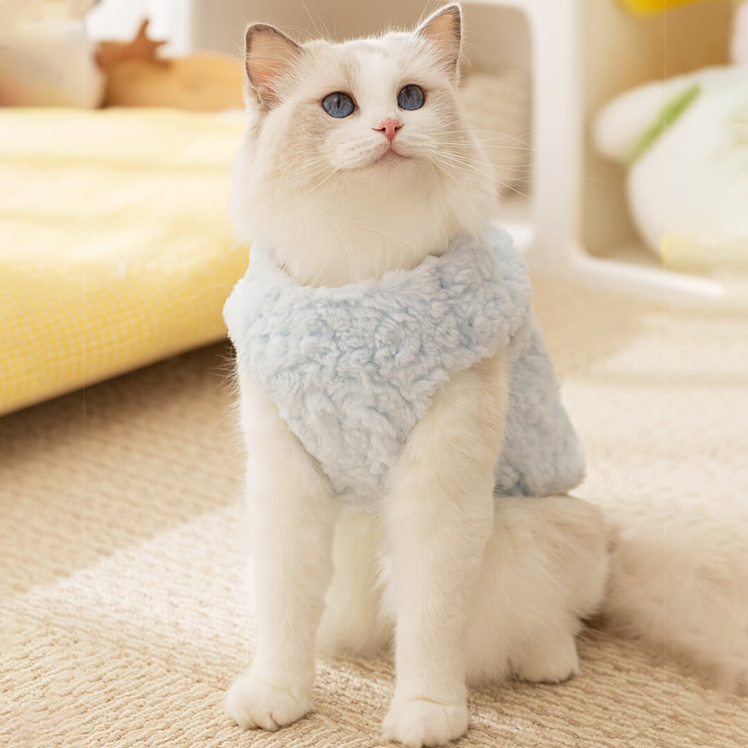Meowster Cat Jacket