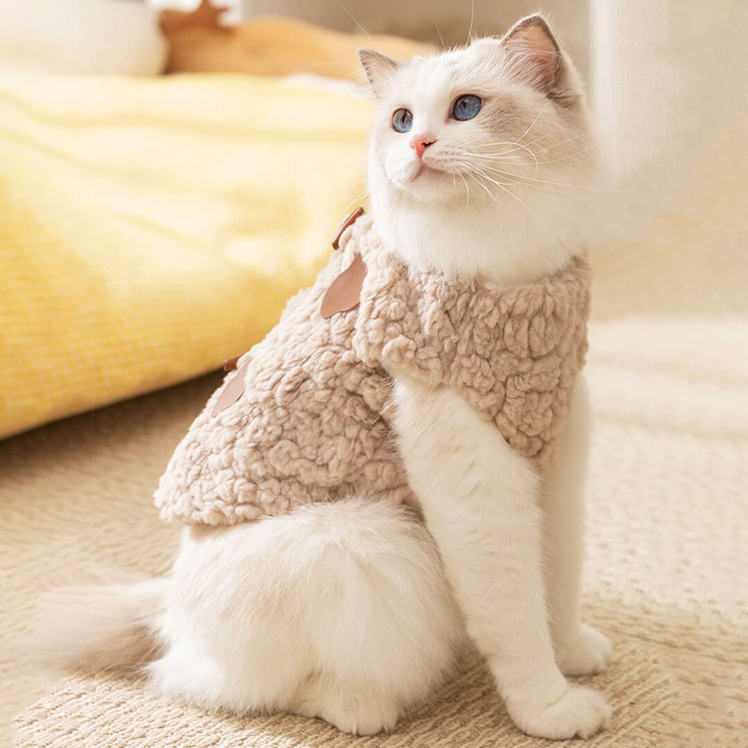 Meowster Cat Jacket