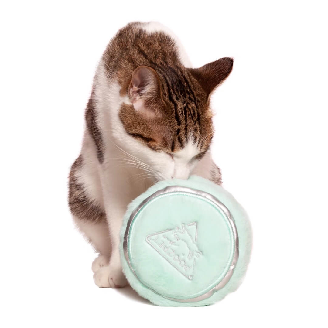 Compact Powder Snuffle Toy