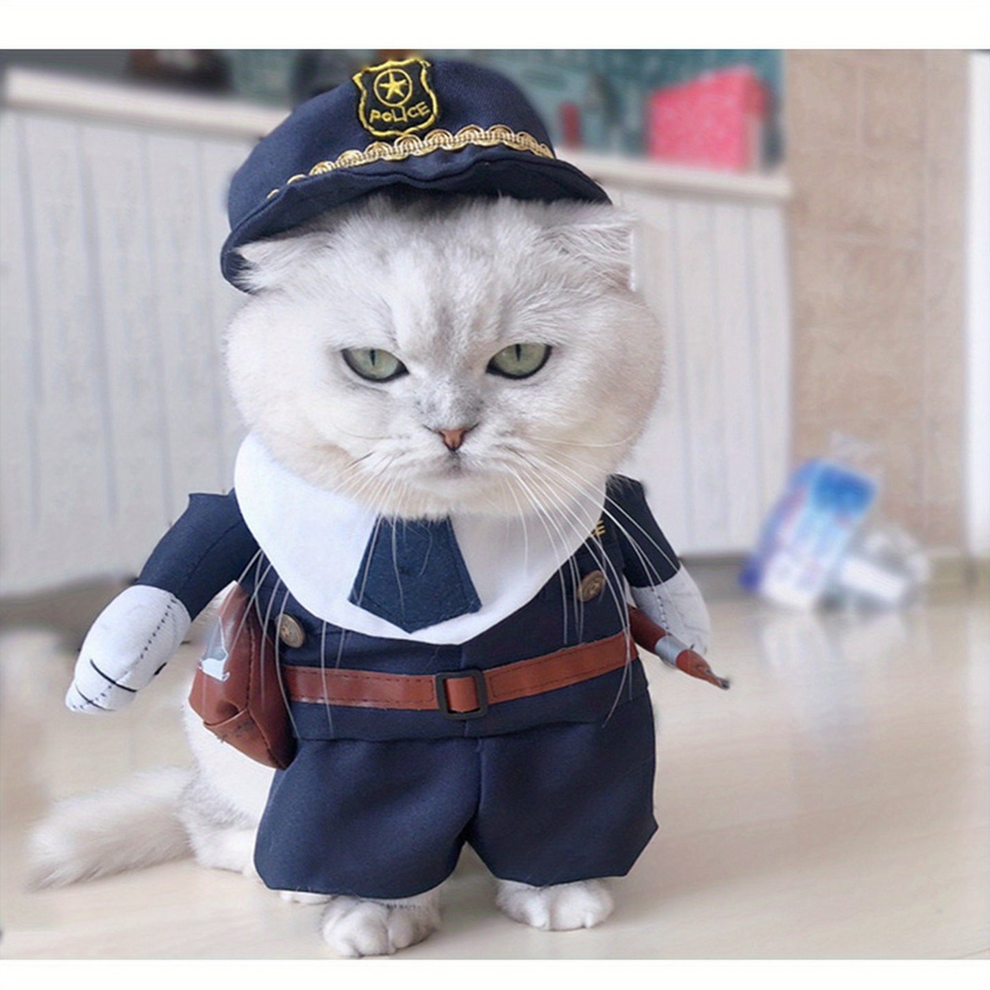 Costume for small breed animals