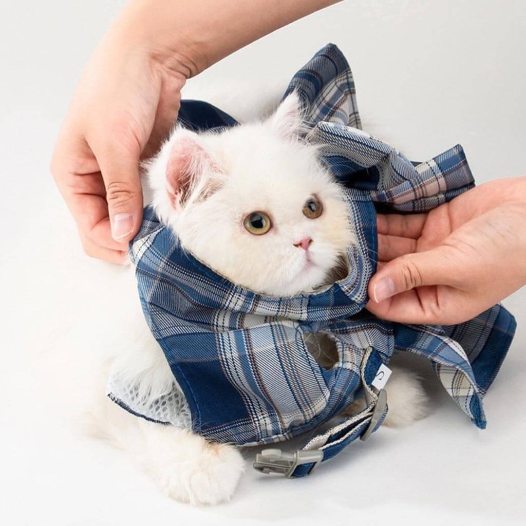Fuji Cat Harness & Leash Set