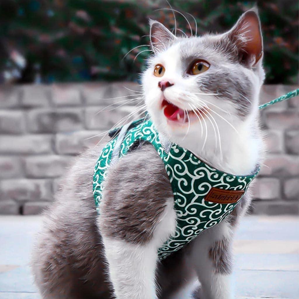 Fuku Cat Harness & Leash Set