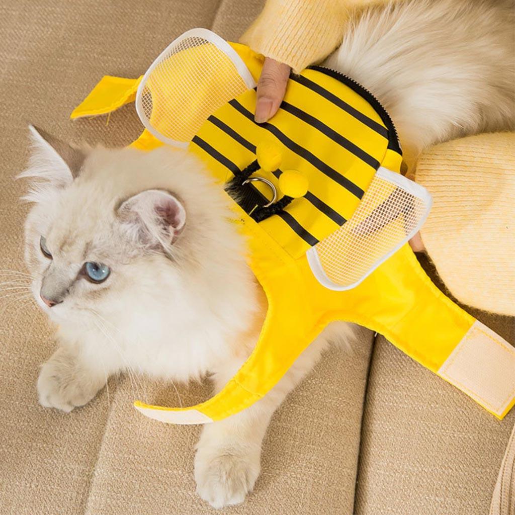 Honeybee Cat Harness & Leash Set