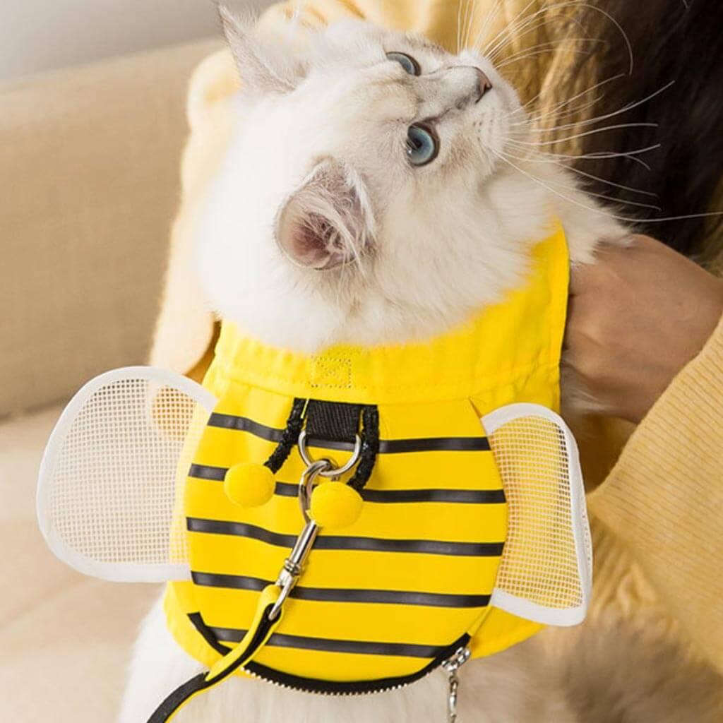Honeybee Cat Harness & Leash Set
