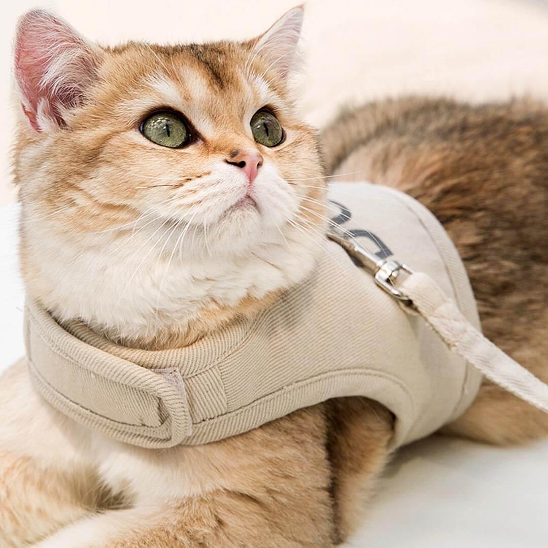 Loki Cat Harness & Leash Set