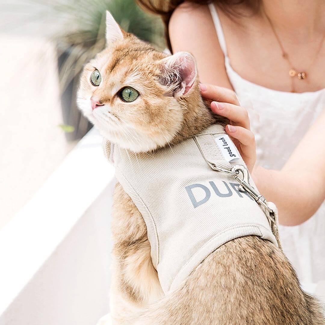 Loki Cat Harness & Leash Set