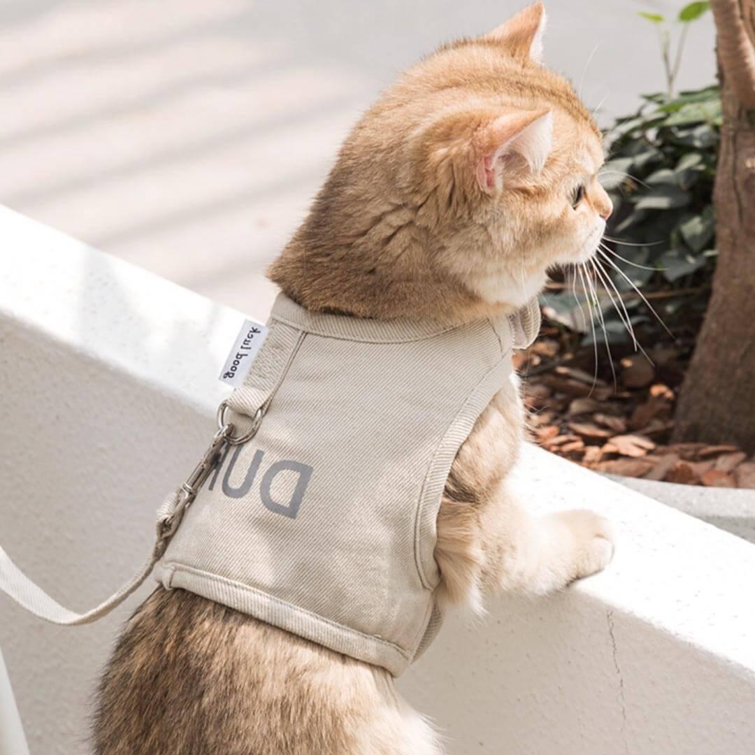 Loki Cat Harness & Leash Set