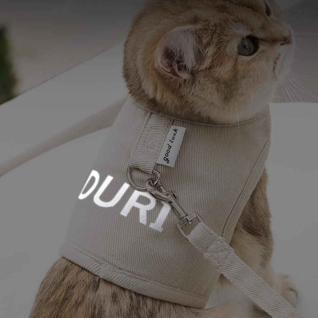Loki Cat Harness & Leash Set