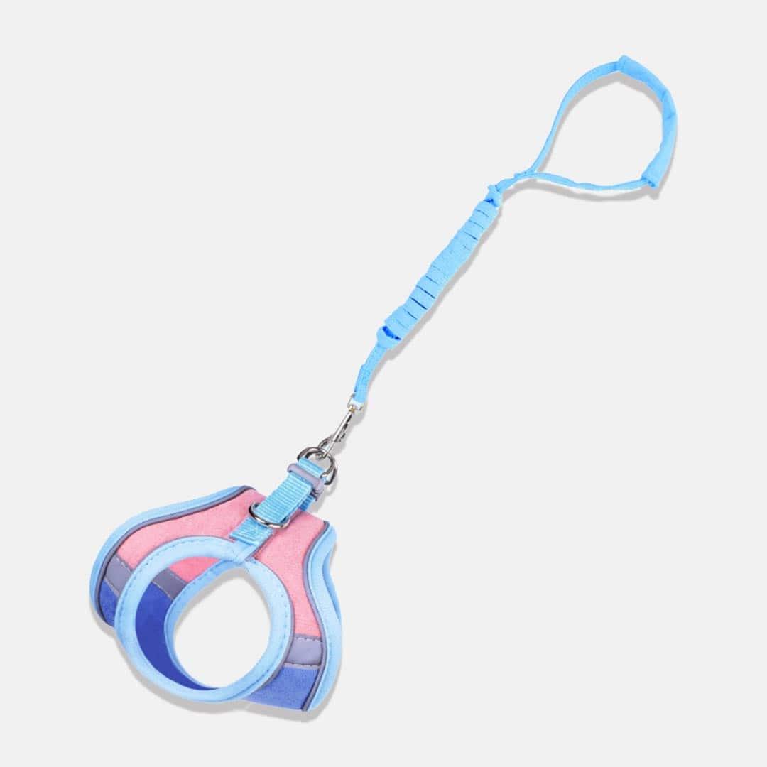 Marshmallow Cat Harness & Leash Set