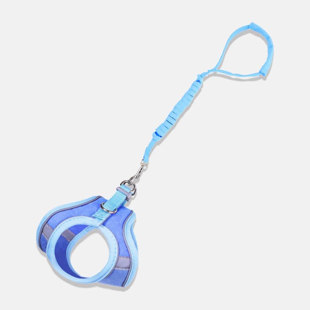Marshmallow Cat Harness & Leash Set