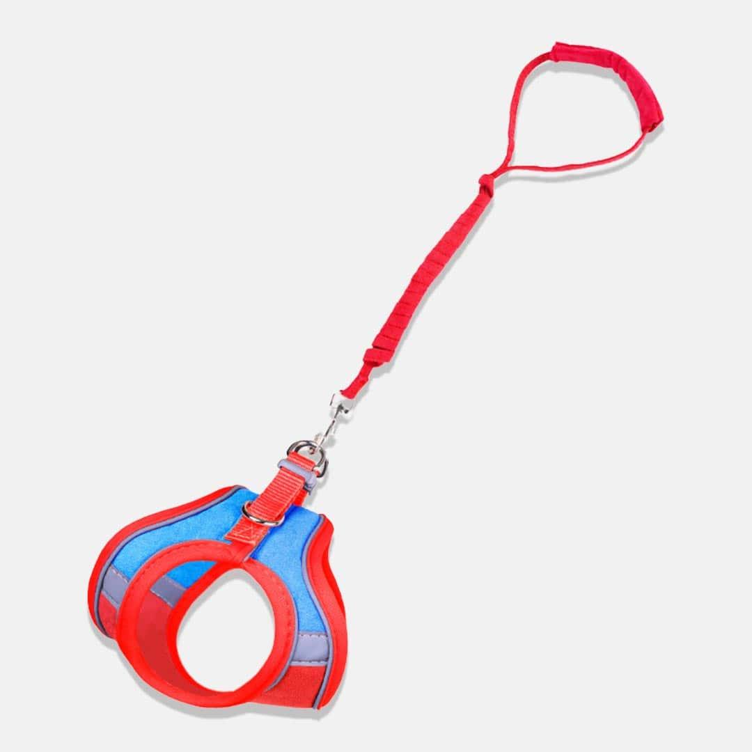 Marshmallow Cat Harness & Leash Set
