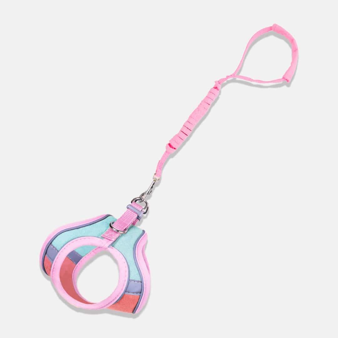 Marshmallow Cat Harness & Leash Set