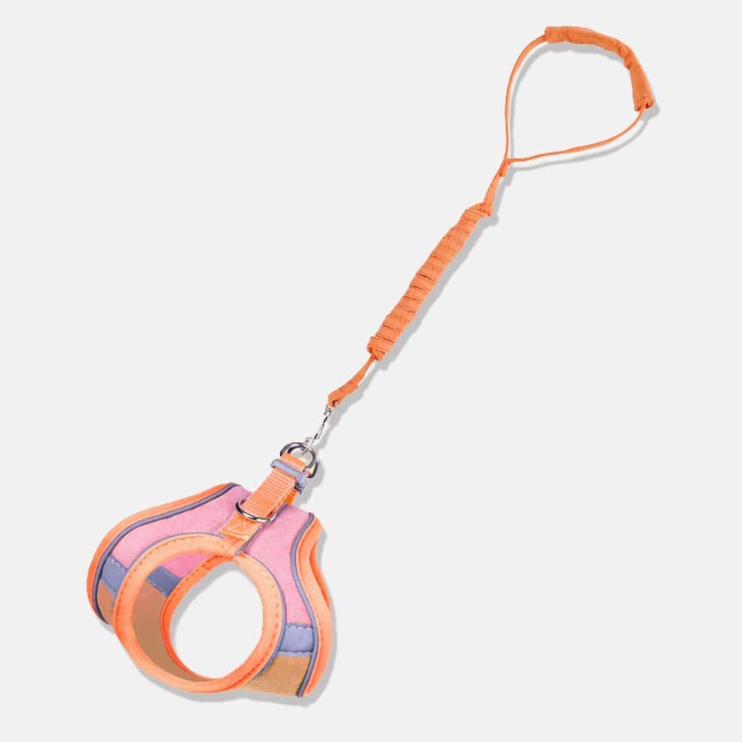 Marshmallow Cat Harness & Leash Set