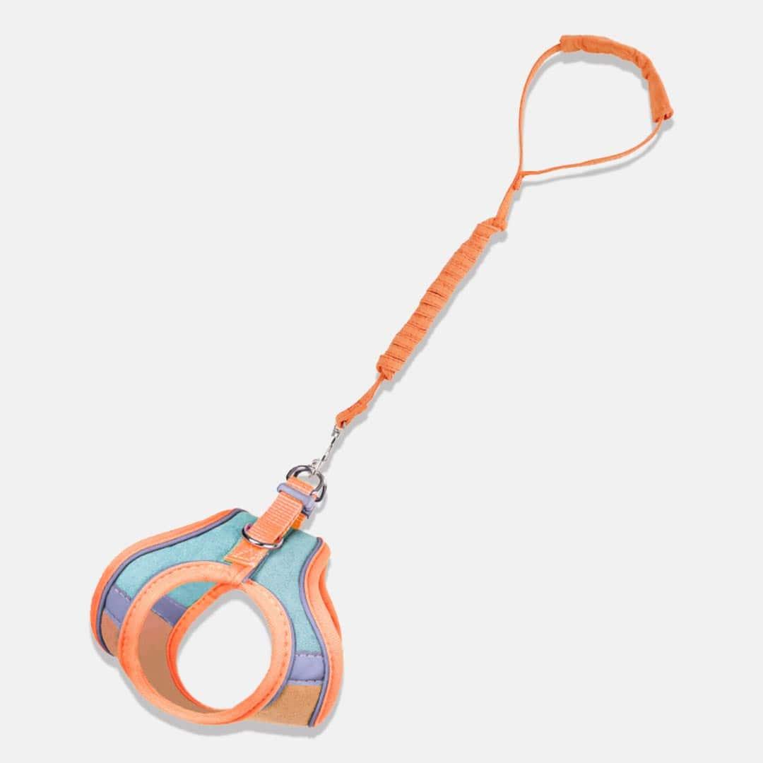 Marshmallow Cat Harness & Leash Set