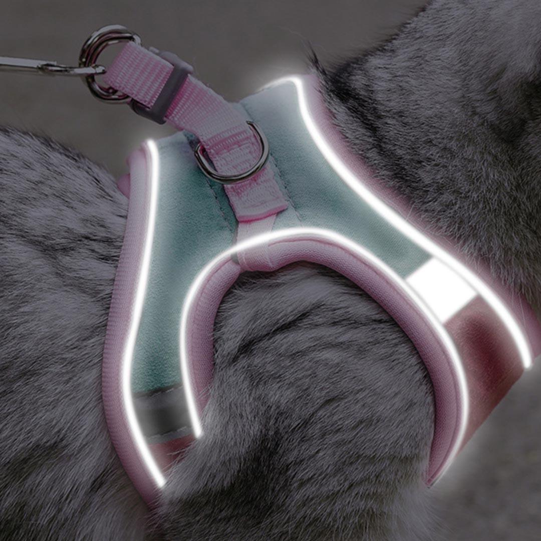 Marshmallow Cat Harness & Leash Set