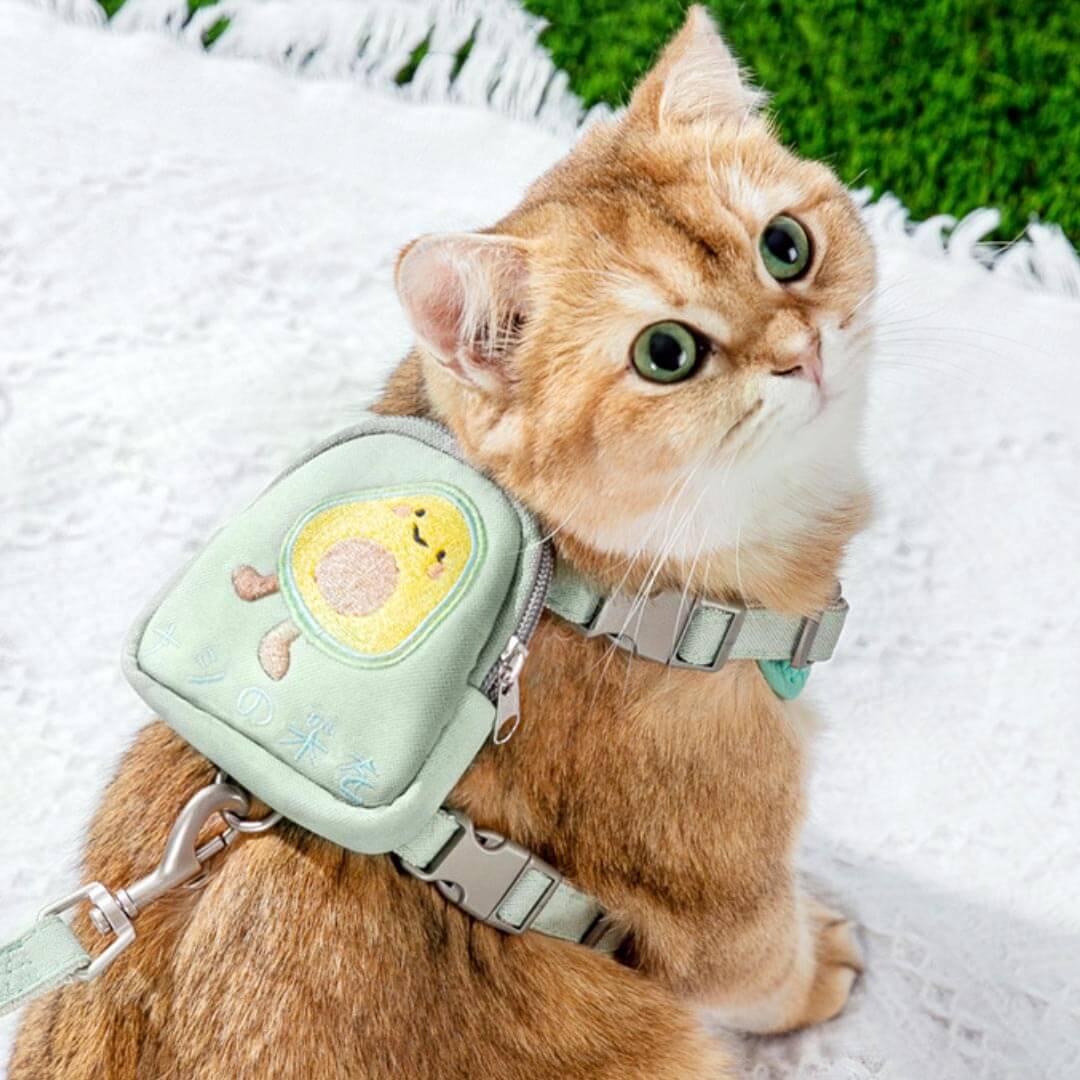 Milo Cat Harness & Leash Set