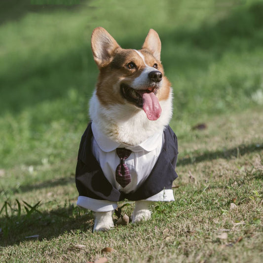 https://static.hzpdex.com/0e808b5f-c430-40f5-bfa6-7c765ddab47b.jpg