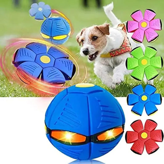 GlowGo™ Flying Saucer Pet Toy