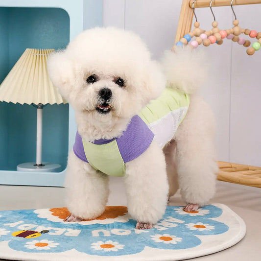 Zallopaws Summer Pet Cooling Vest