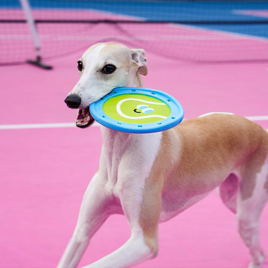 Beginner Training Toy - Interactive Pet Frisbee