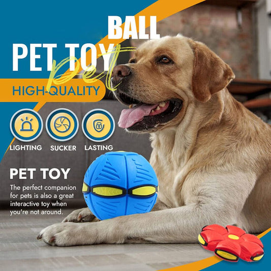 GlowGo™ Flying Saucer Pet Toy