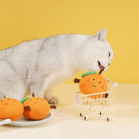 Big Orange Pet Toys