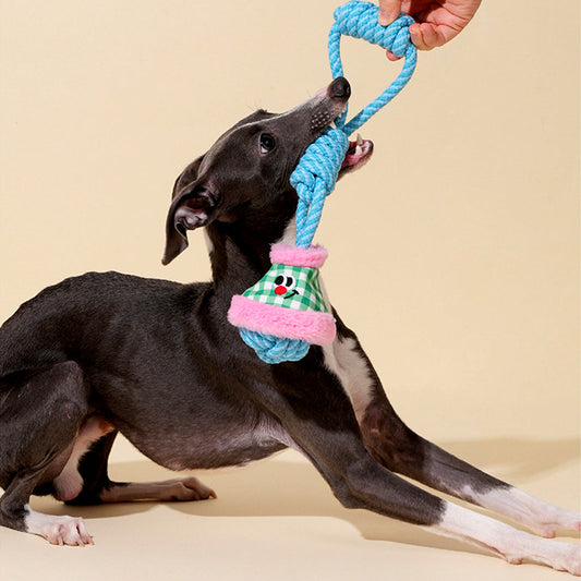 Pull & Play Interactive Tug Light Rope Toys