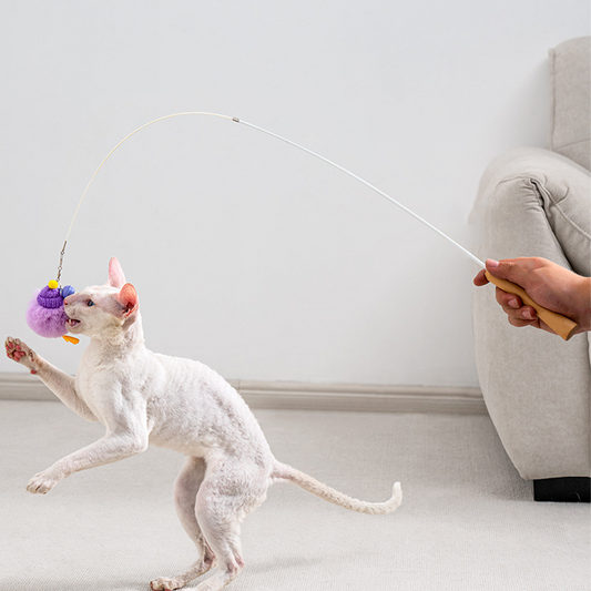 Adjustable Extendable Cat Teaser Wand – Cute Duck Design for Interactive Play