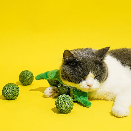 Pea Pod Sisal Ball Pet Toys