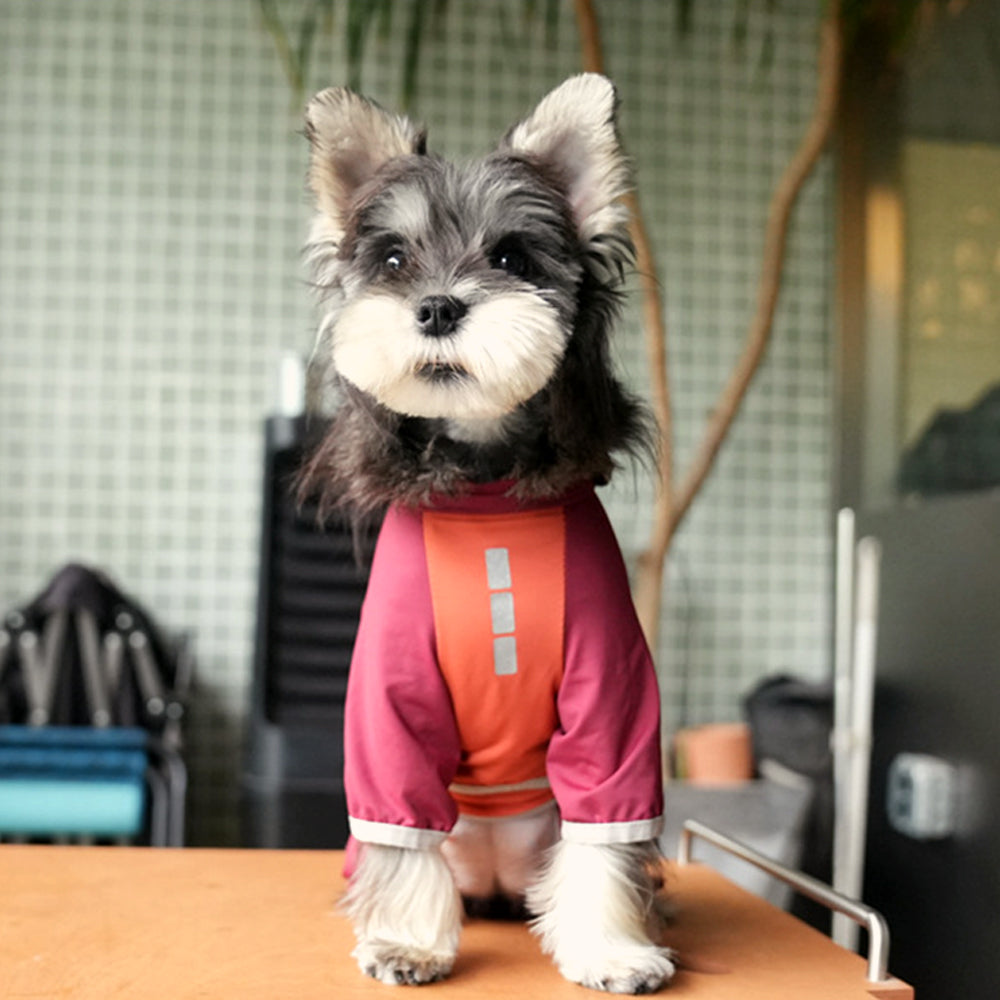 Pet Outdoor Cooling Jacket
