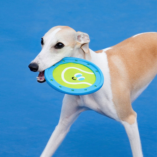 Beginner Training Toy - Interactive Pet Frisbee