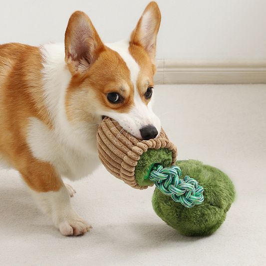Broccoli & Mushroom Sounding Pet Toys