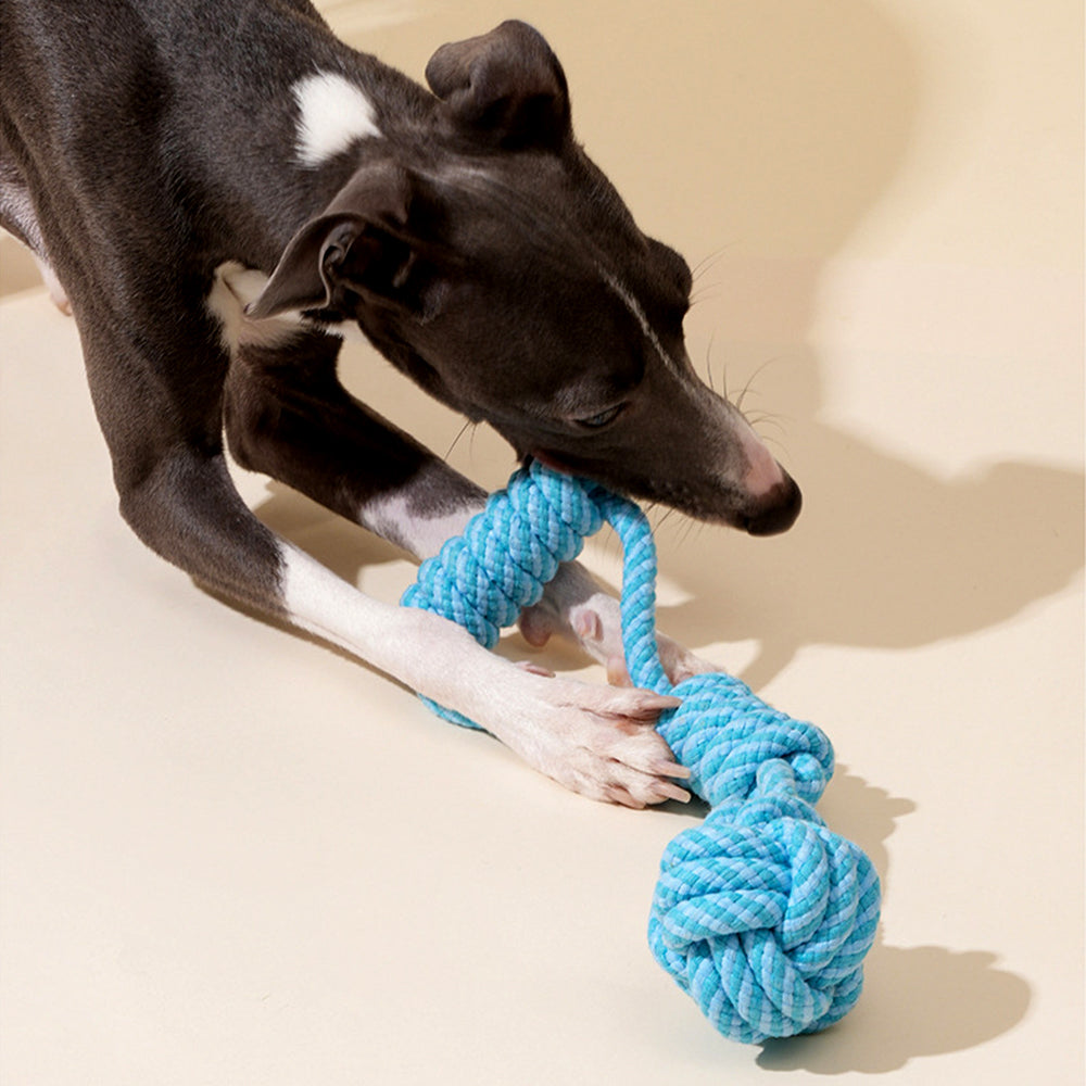 Pull & Play Interactive Tug Light Rope Toys