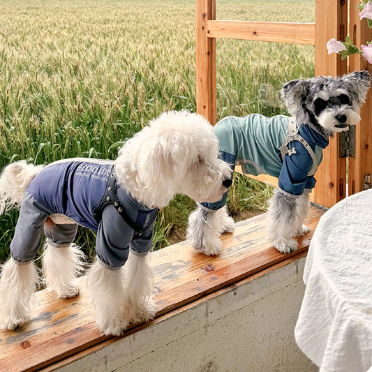 Pet Outdoor Cooling Jacket