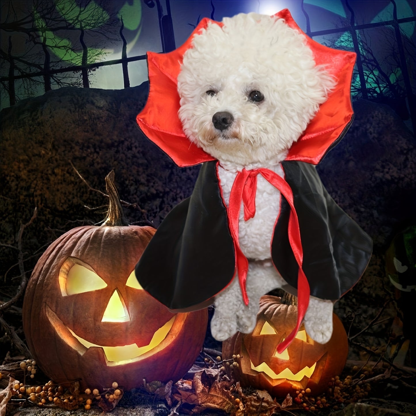 Costume for small breed animals