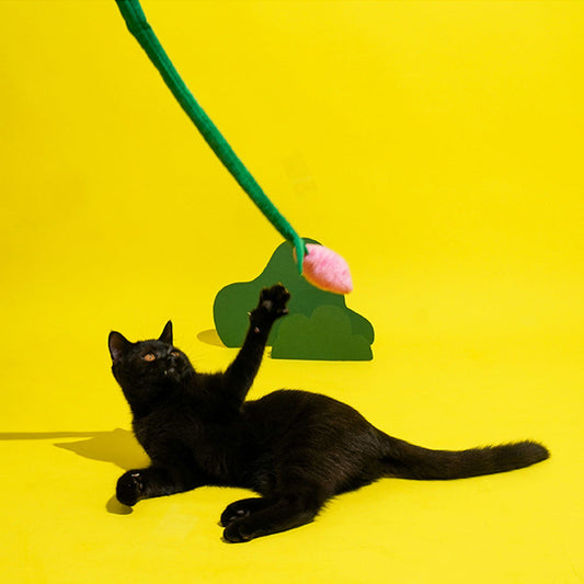 Tulip, Dachshund & Caterpillar Cat Teaser Wand
