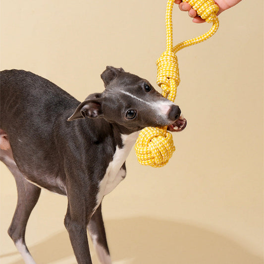 Pull & Play Interactive Tug Light Rope Toys
