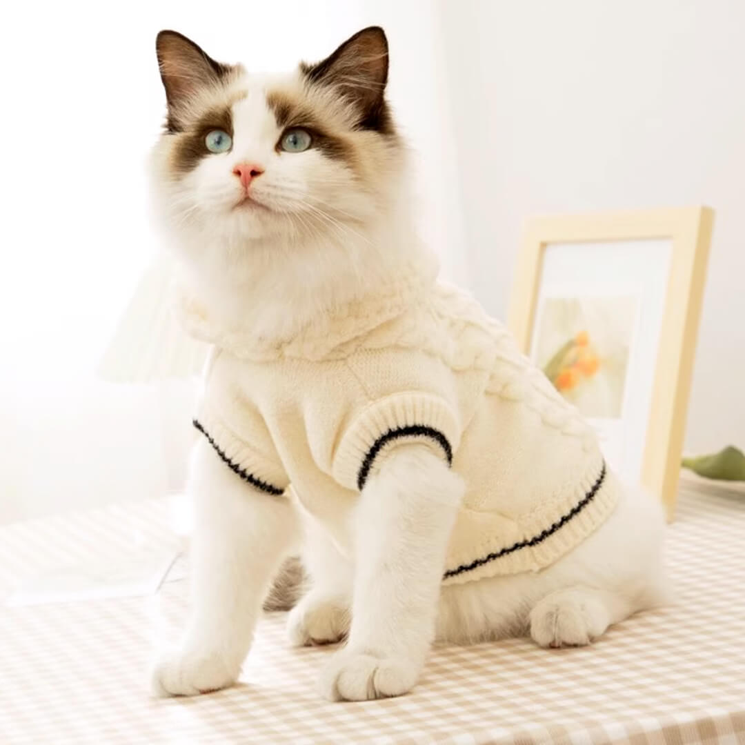 Blanc Cat Hooded Sweater