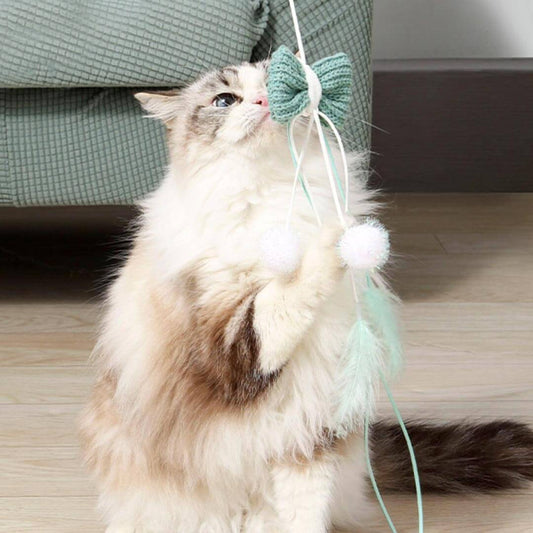 Bow Whisker Twister Cat Wand Toy