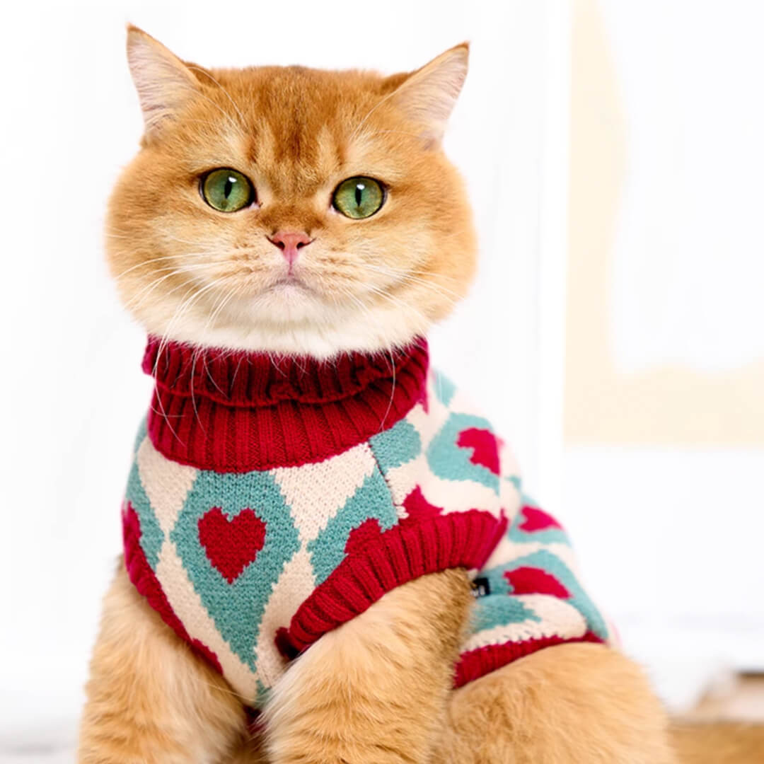 Cupid Cat Sweater