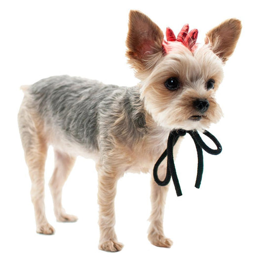 Dragon Dog Hat